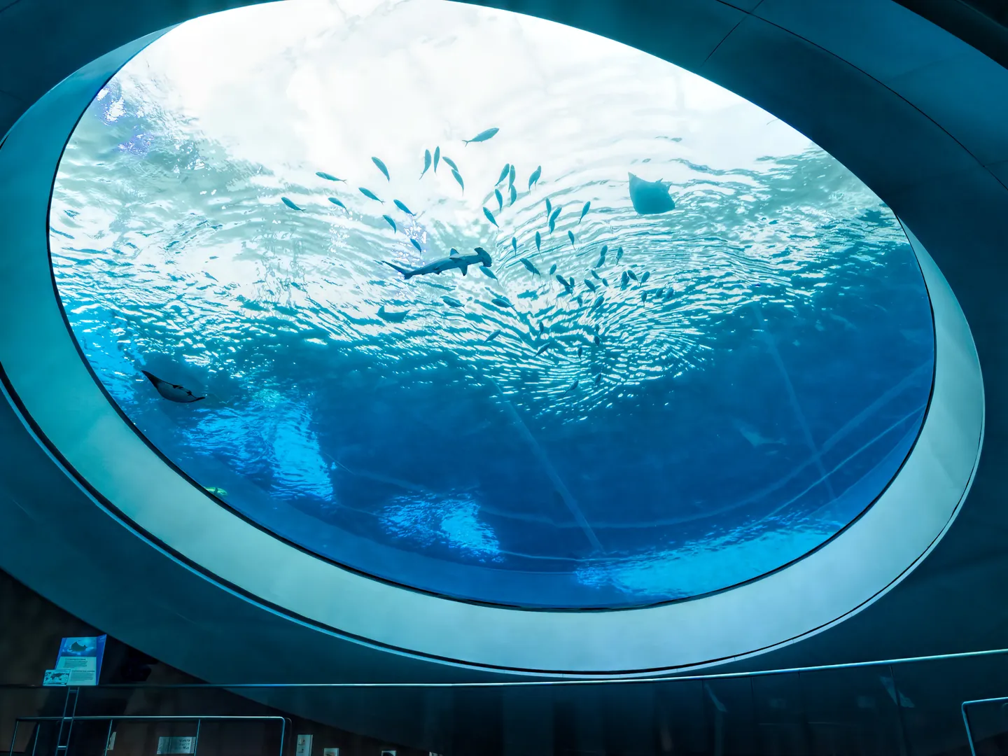 Frost Museum exterior in Miami